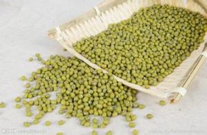 食用绿豆